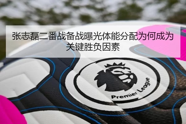 张志磊二番战备战曝光体能分配为何成为关键胜负因素
